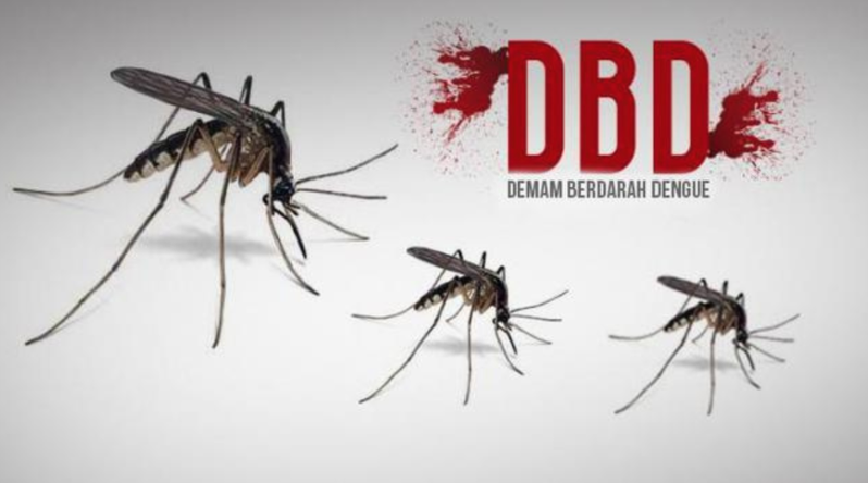 Update Terbaru Kasus DBD di Kota Tasikmalaya