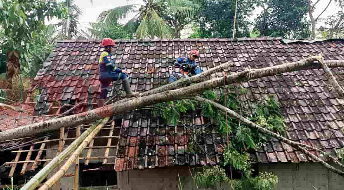saat ini Petugas sedang mengevakuasi poho yang menimpa rumah warga